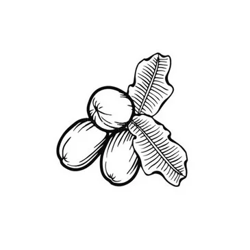 hydrate, nourrit, régénère, apaise, revitalise, protège des méfaits du soleil, cicatrise, prolonge bronzage, anti-inflammatoire, calme irritations